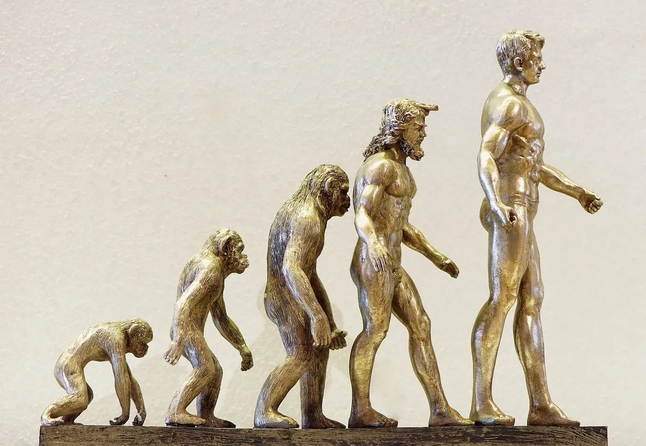 evolution-4107273_1280.jpg