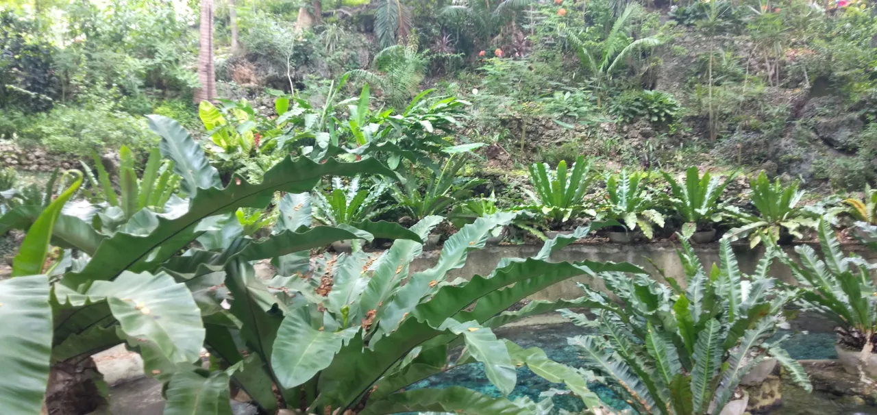 IMG20230821144633.jpg