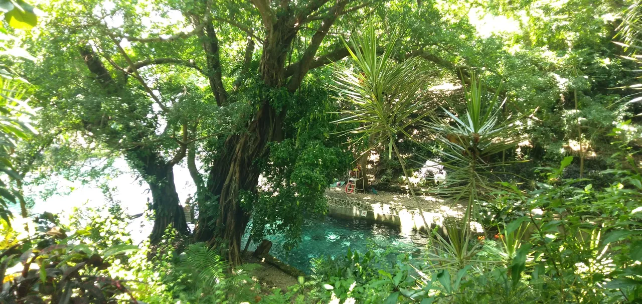IMG20230821104328.jpg