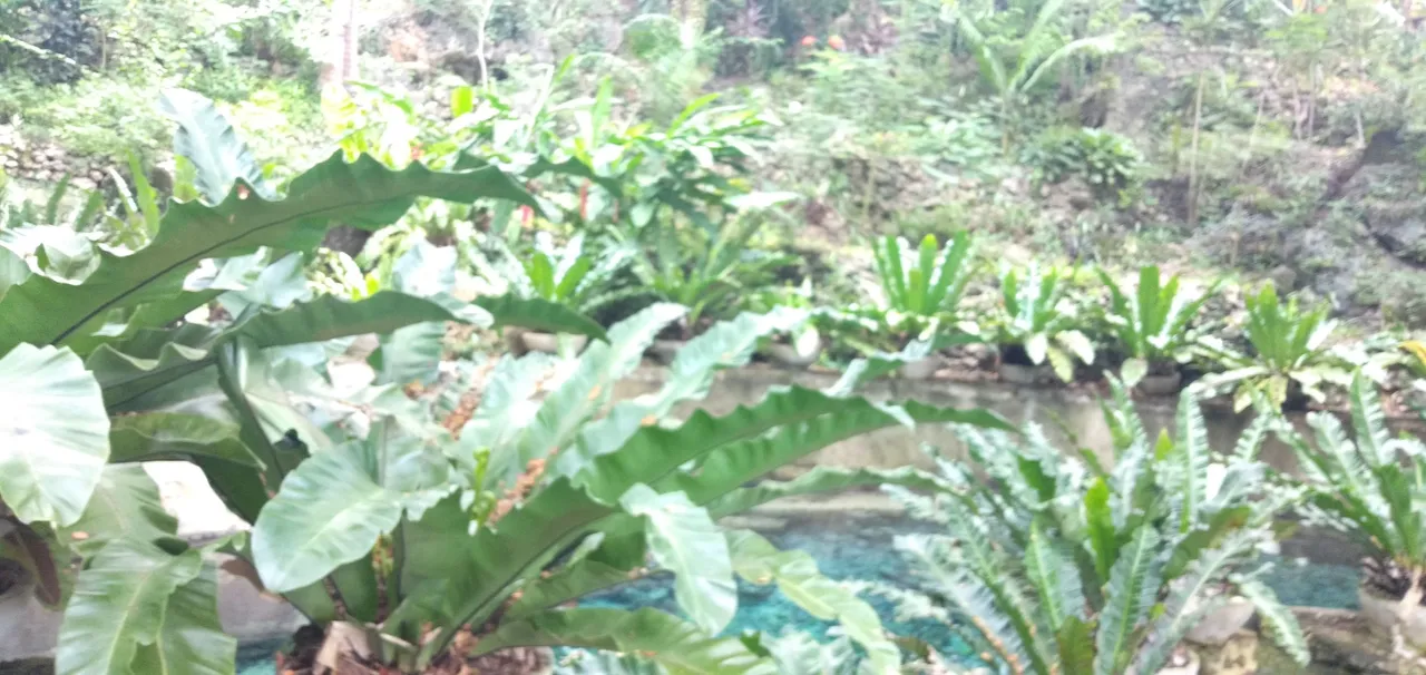 IMG20230821145107.jpg