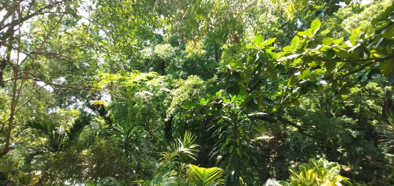 IMG20230821104313.jpg