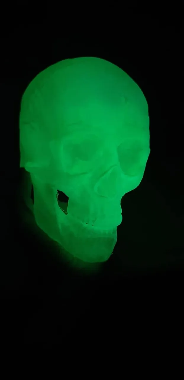 287137232_10227933134098052_5984061366120314681_n.jpg