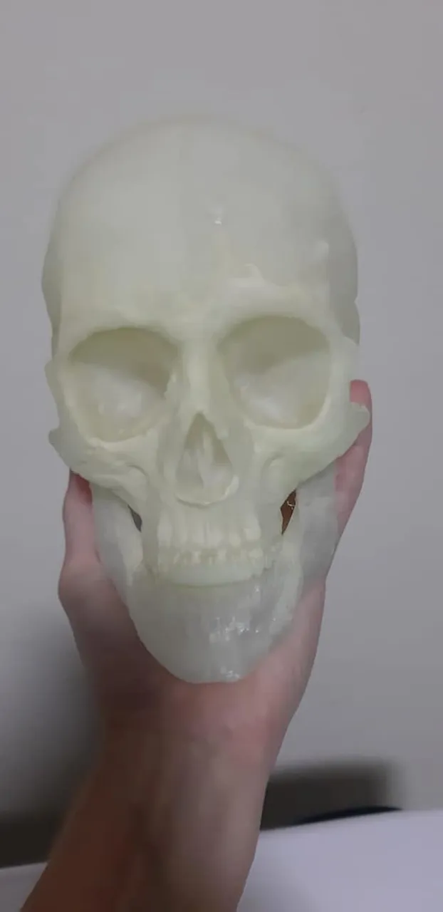 287327379_10227933133658041_6367232856604653802_n.jpg