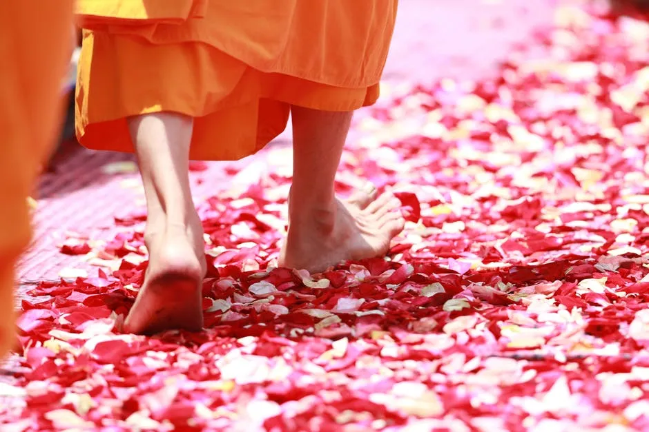 monk-walking-rose-petals-buddhism-50681.jpeg