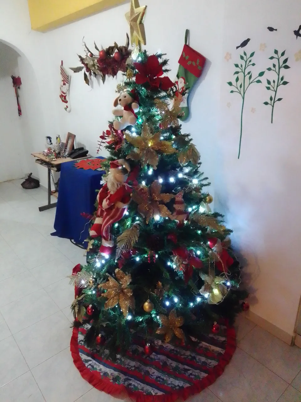 IMG_20211128_200902.jpg