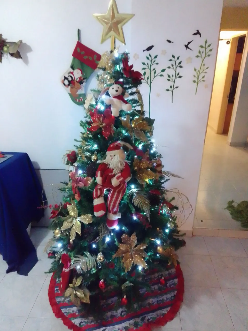 IMG_20211128_200927.jpg