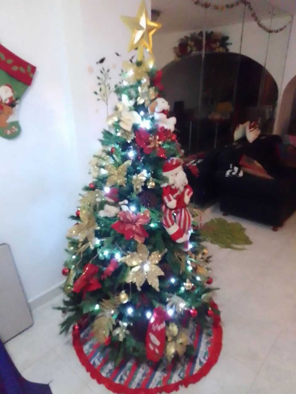 IMG_20211128_200845.jpg