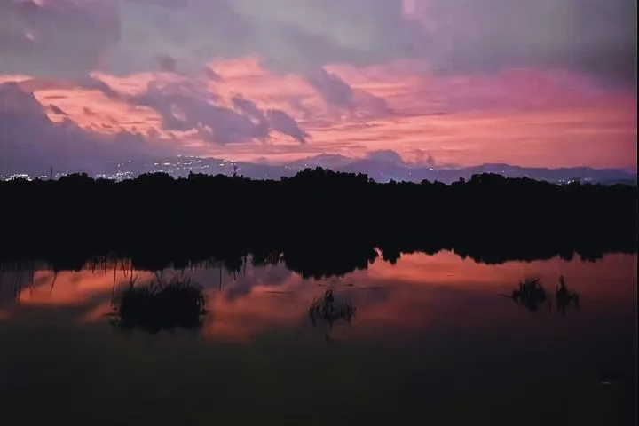 20250706064528415.jpg