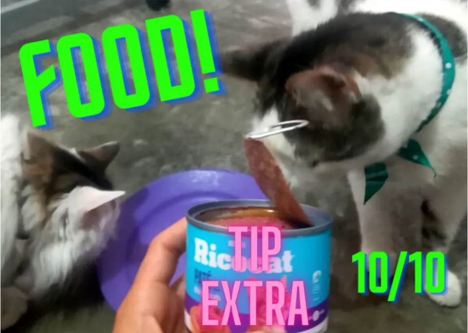 Tip extra (1).png