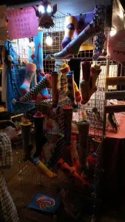 IMG_20231001_185034.jpg