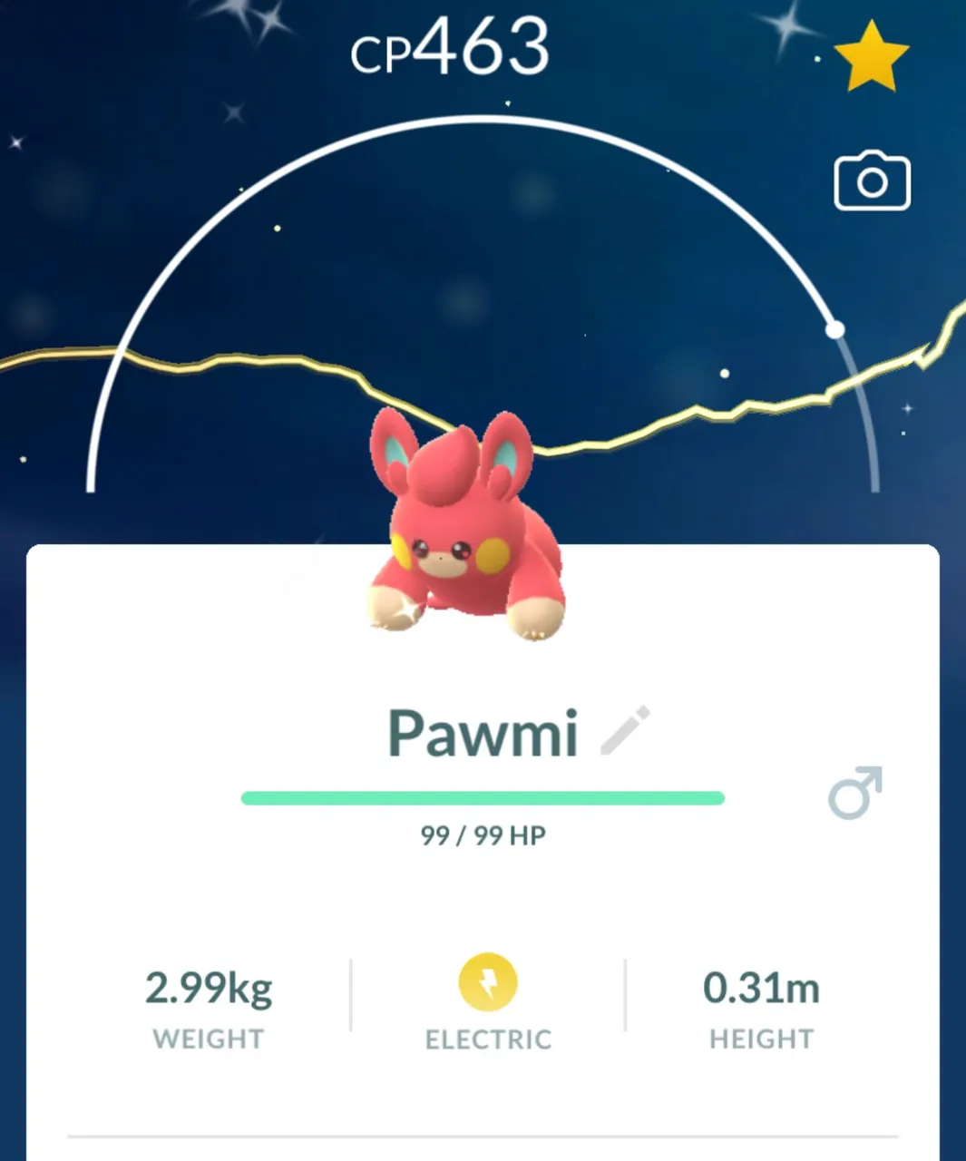 pogo.jpeg