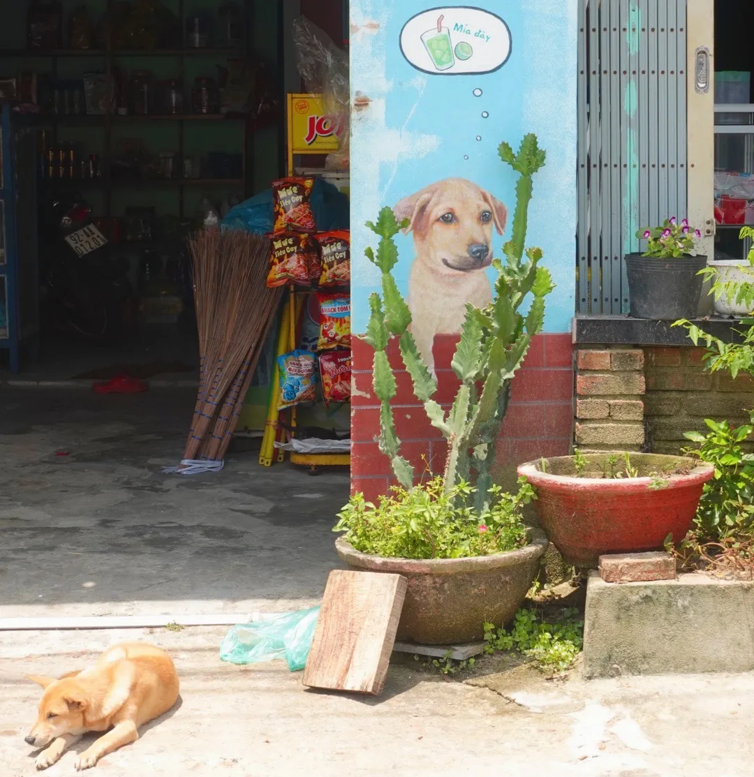 The dog of this house has been painted on the wall as a souvenir