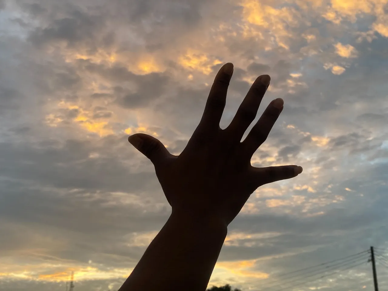 IMG_1419.jpeg