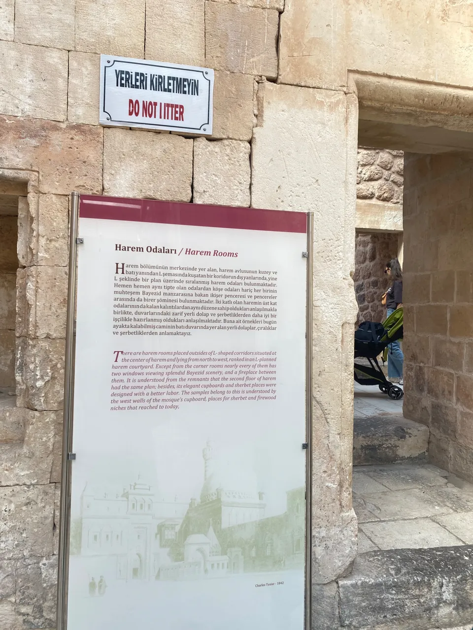 IMG_8685.jpeg