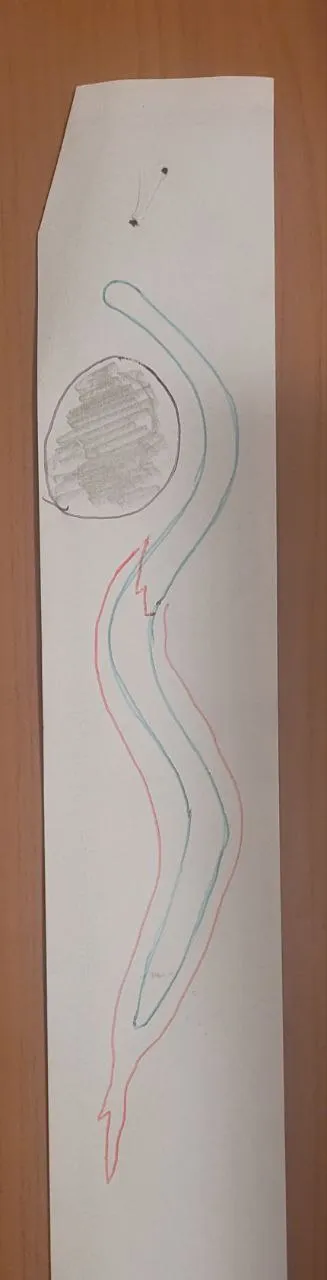 serpiente.jpg