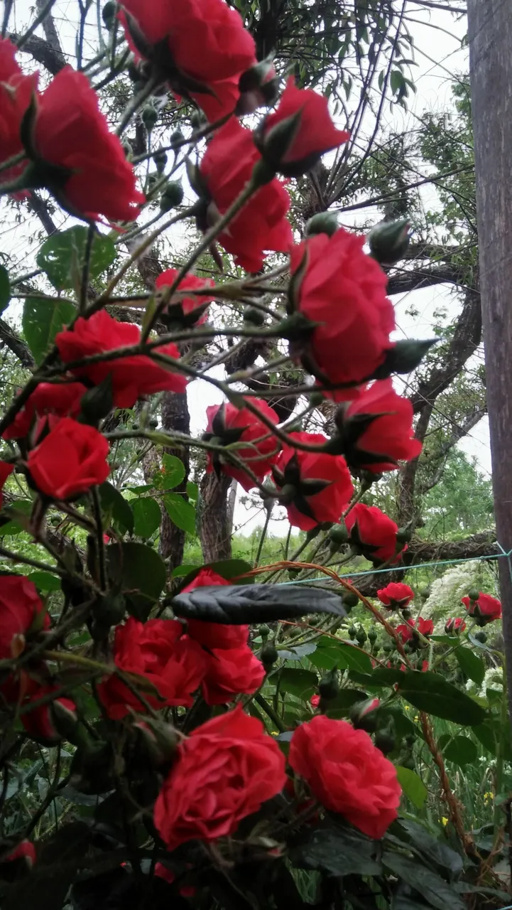 IMG20221020182236.jpg