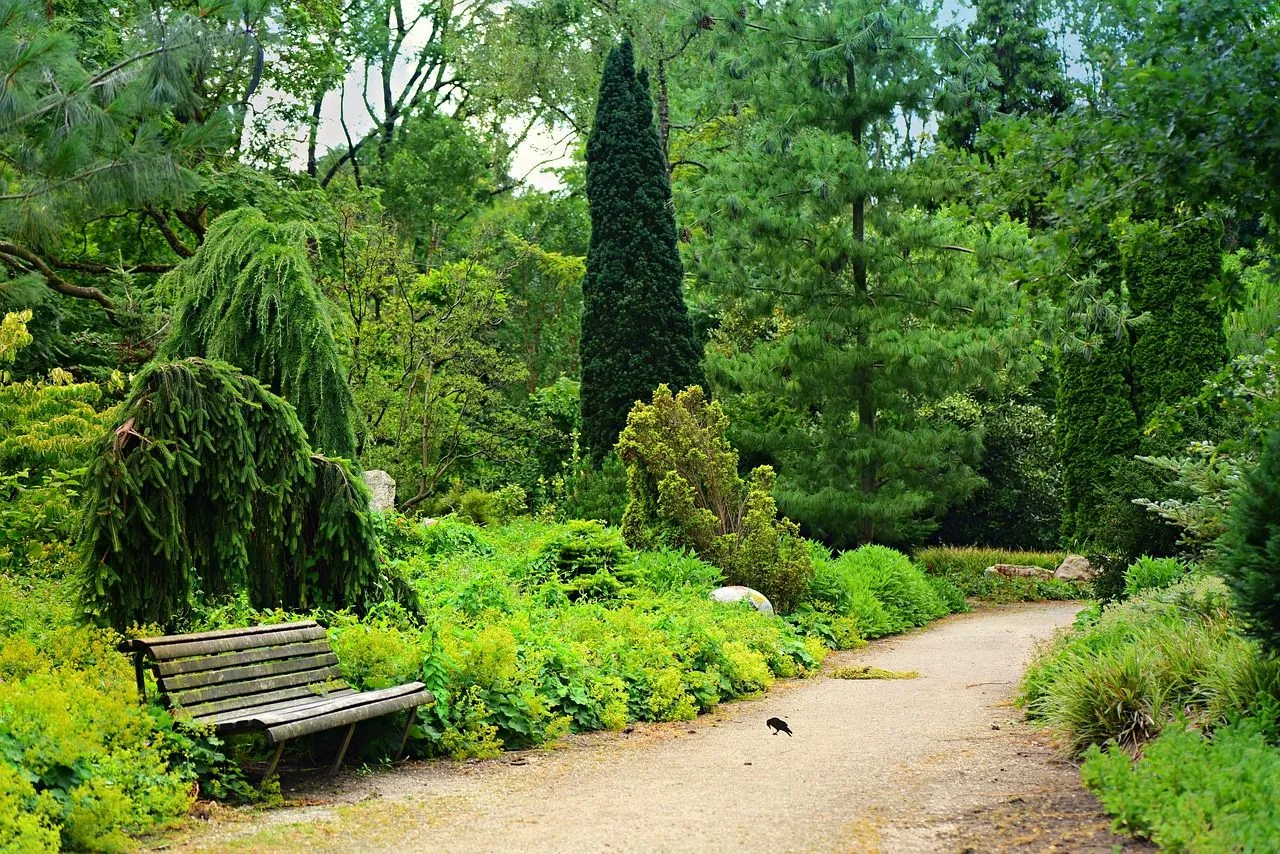 park-4314817_1280.jpg
