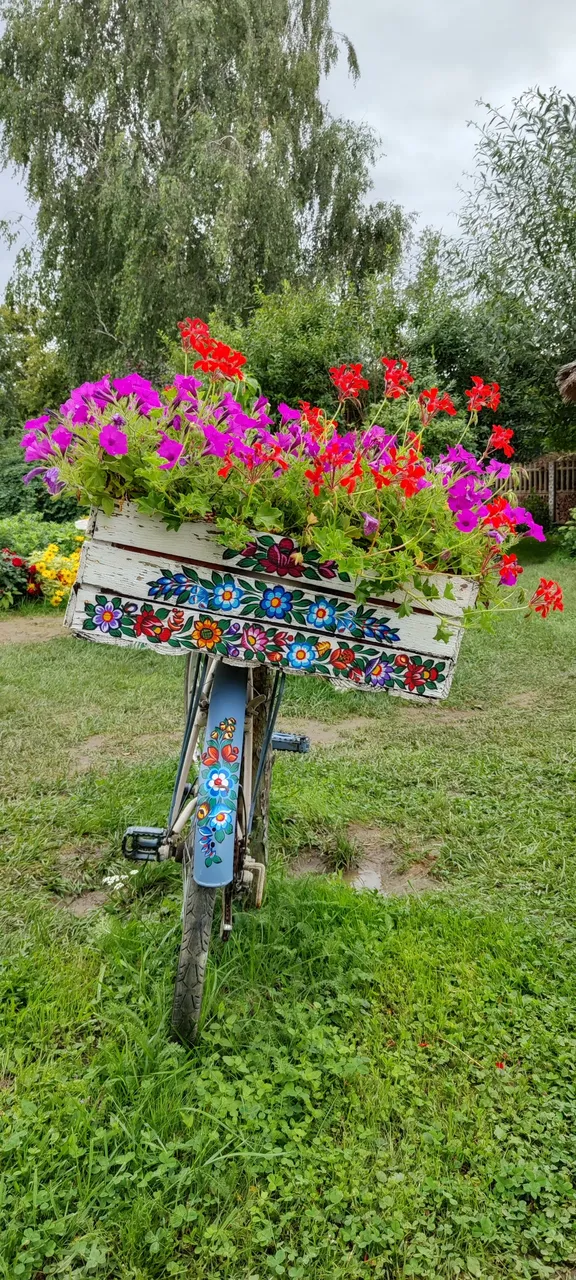 58.jpg