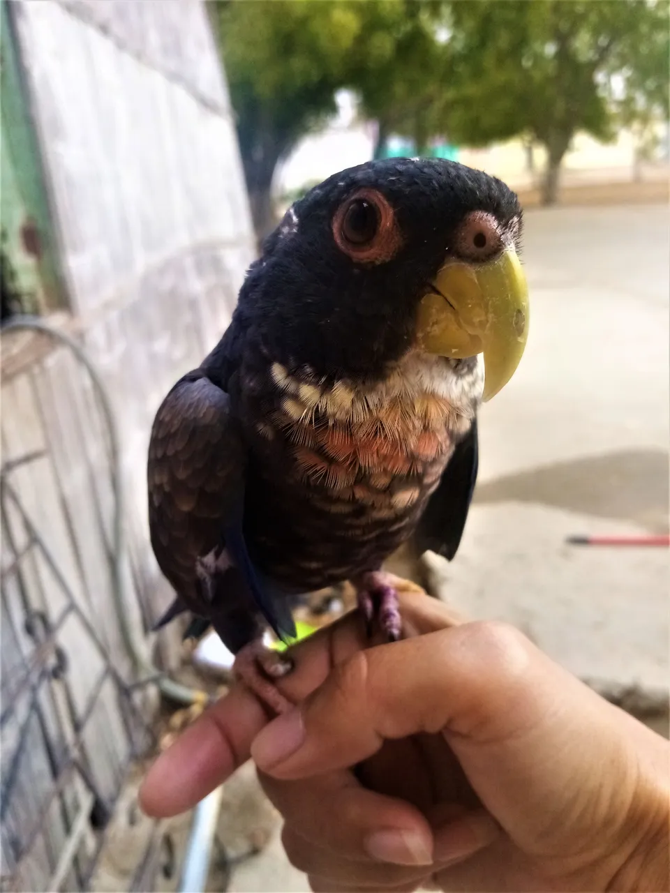 kerfa.jpeg