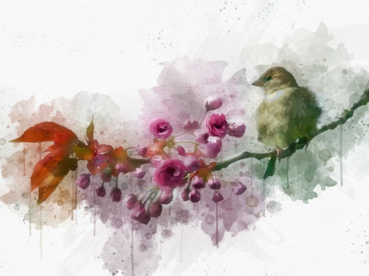 bird-3726473_1920.jpg