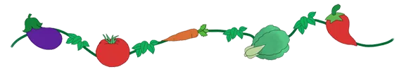 dcrops divider.png