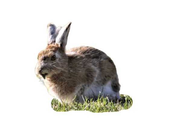 7dde3145_bc8e_40f6_aa60_ea3f46e26f75.png