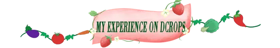 EXPERIENCE.png