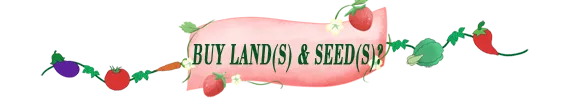 seedslands.png