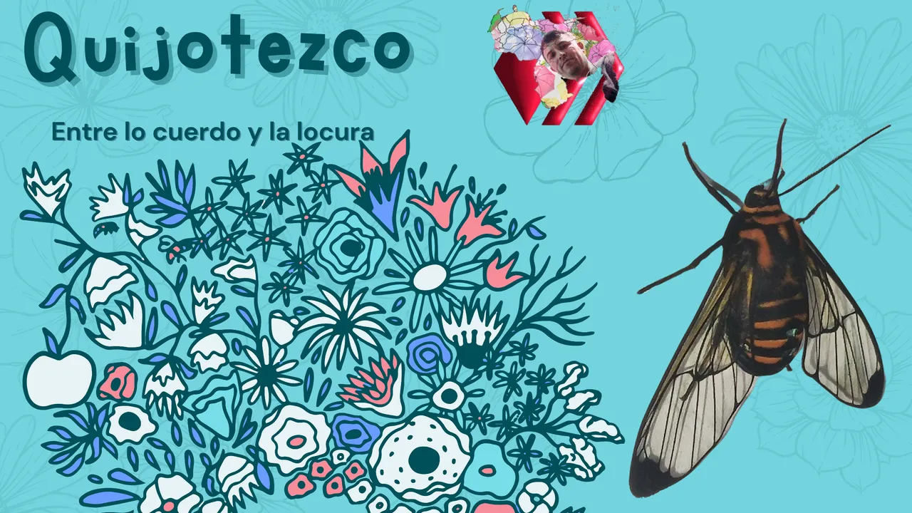 Polilla alas transparentes.png