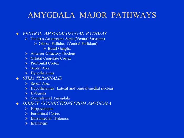 table_amygdala_pathways.png