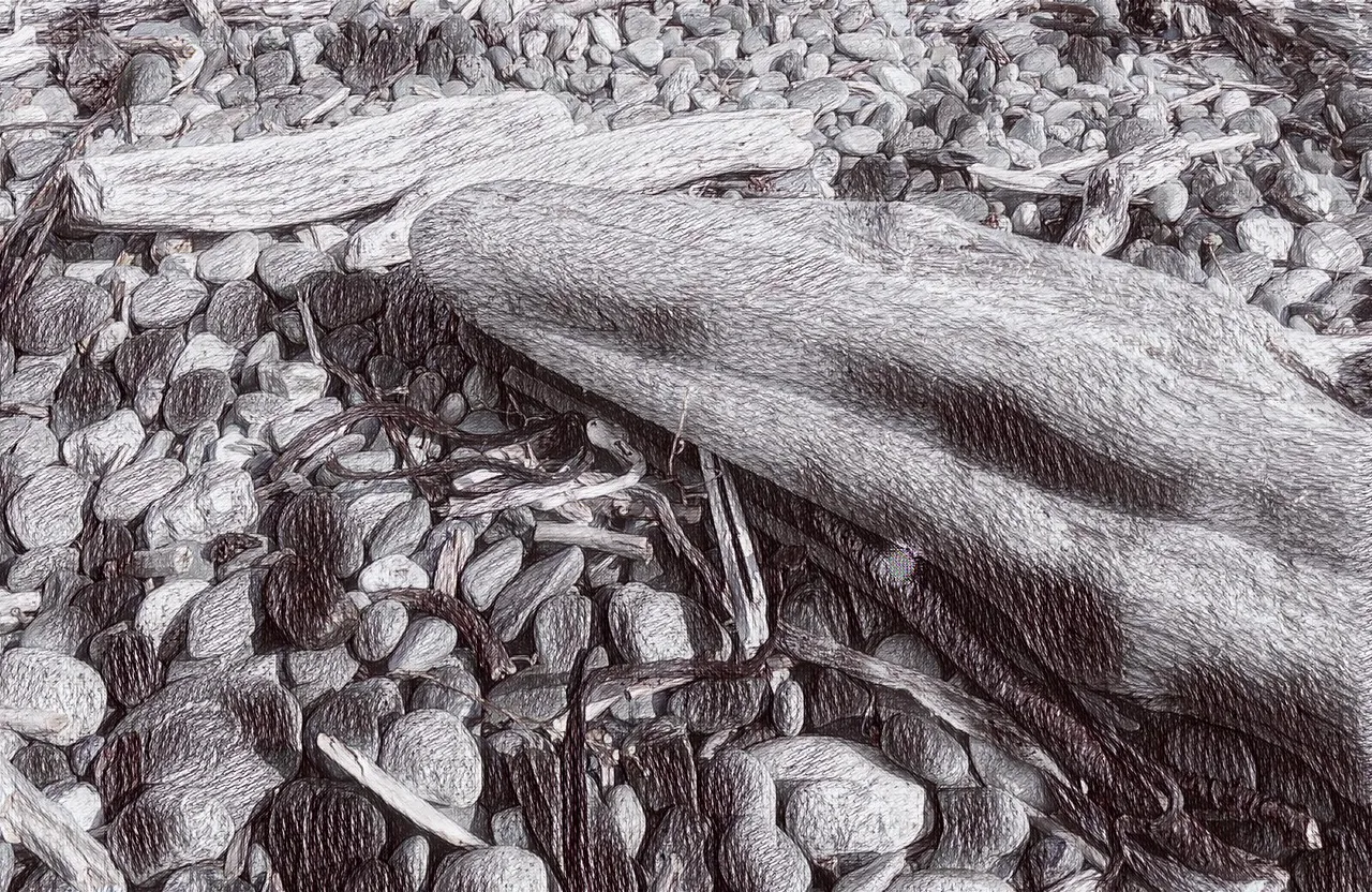 RD0079-Log.jpg