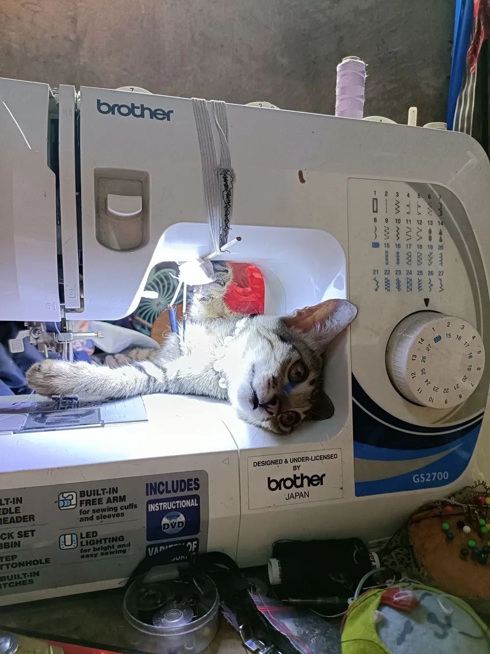IMG20231119111451.jpg