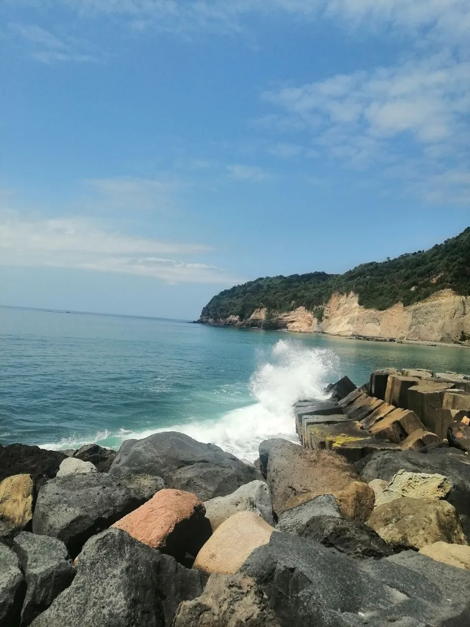 IMG_20250616_120652.jpg