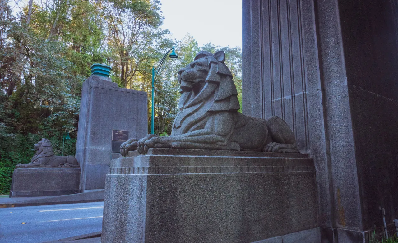 both lions from side.jpg