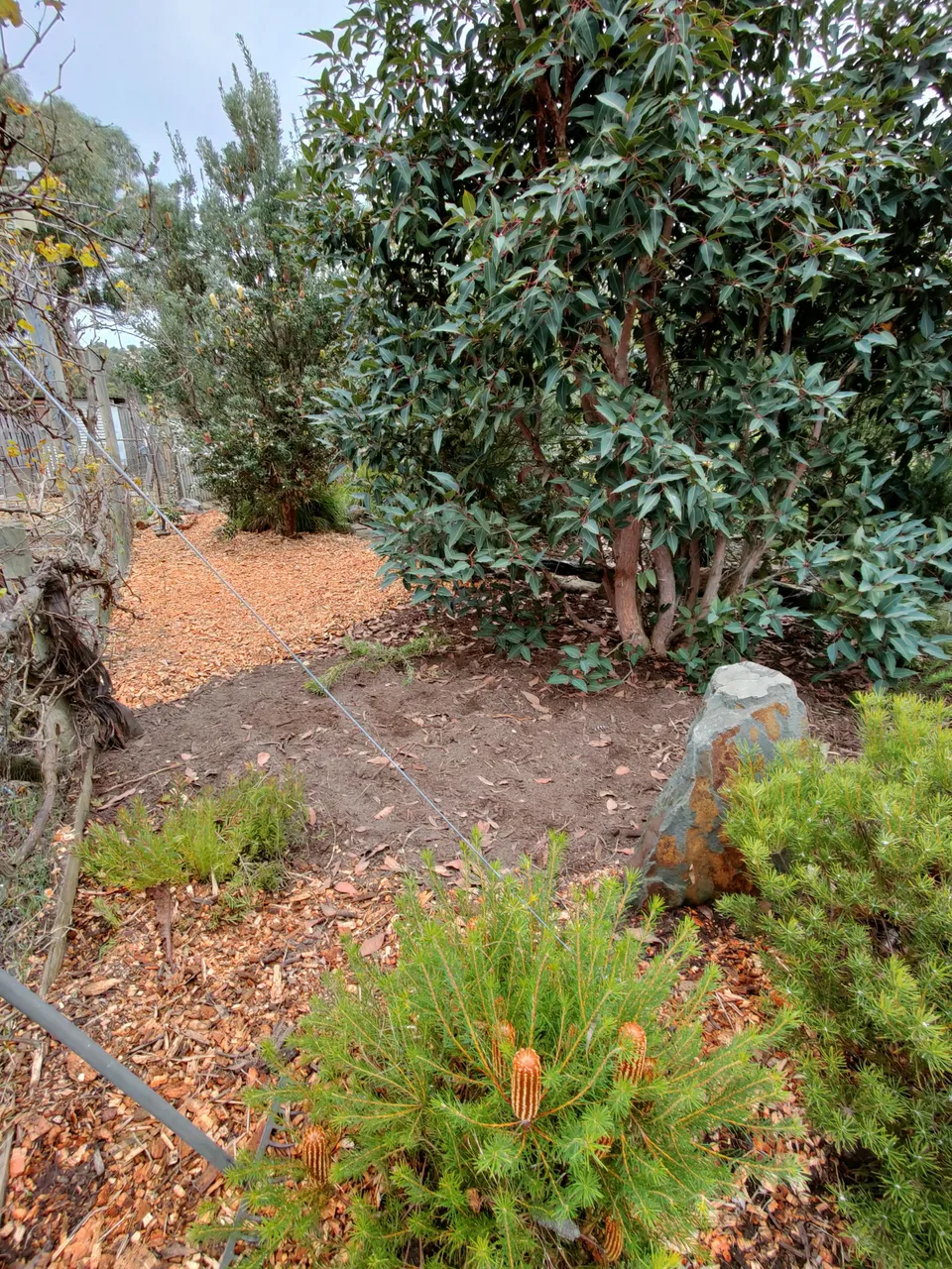 IMG20220507130525.jpg