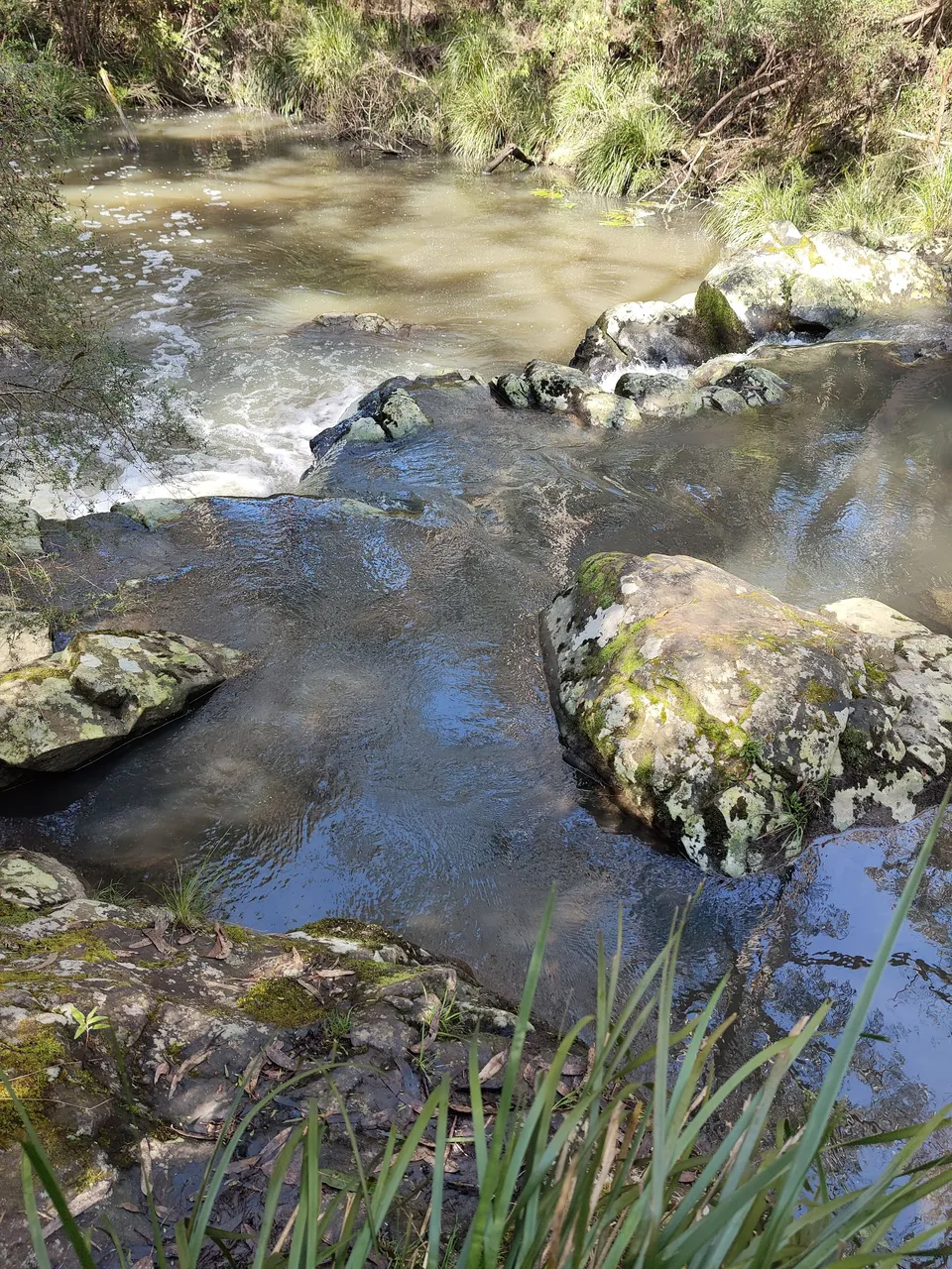 IMG20220925103336.jpg