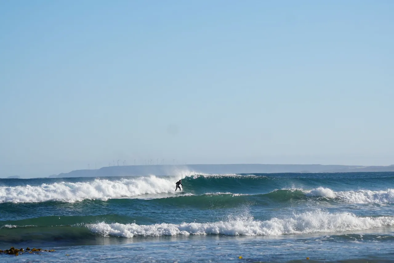 DSC08155_1.jpg