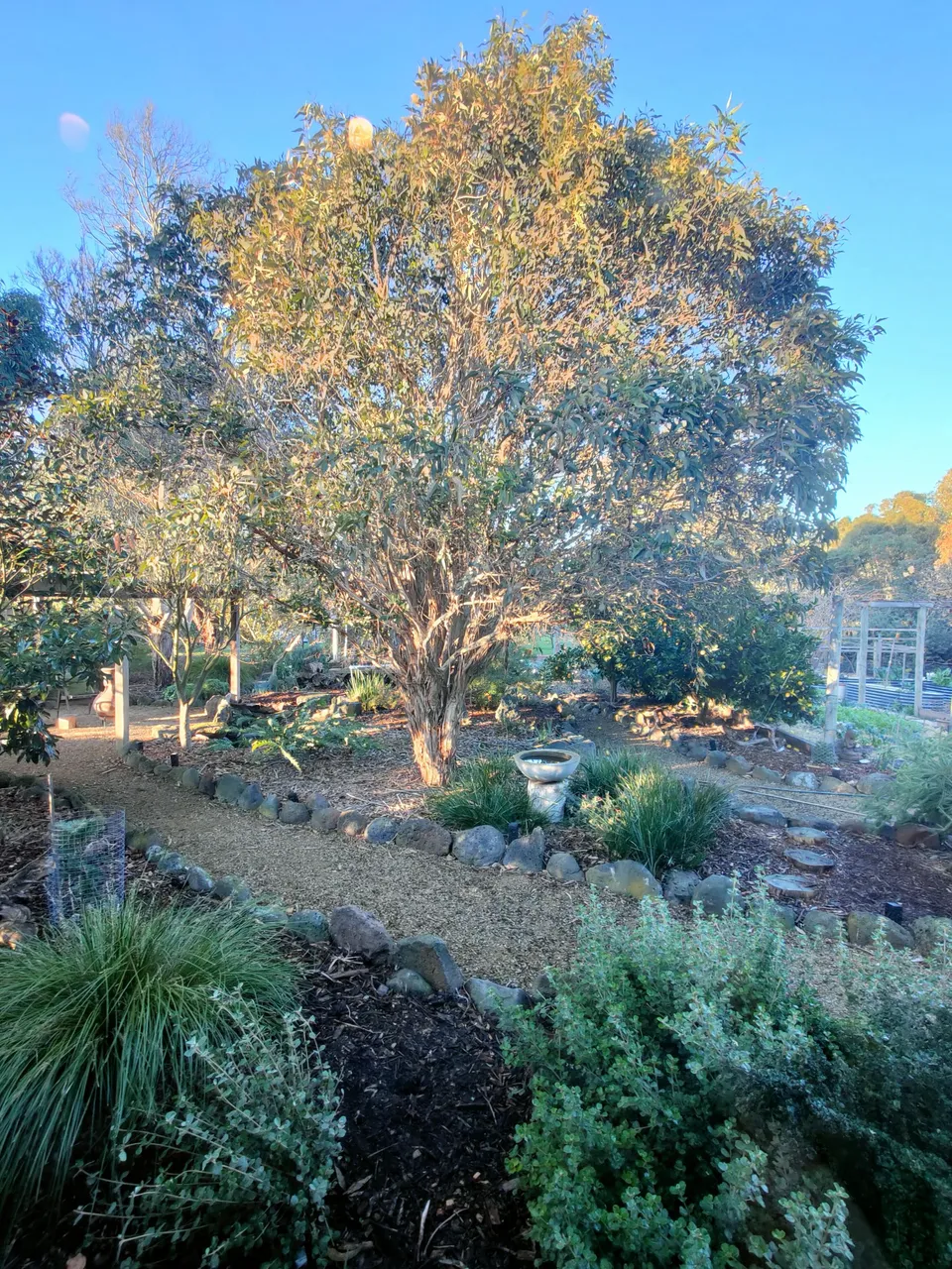 IMG20250805081444.jpg