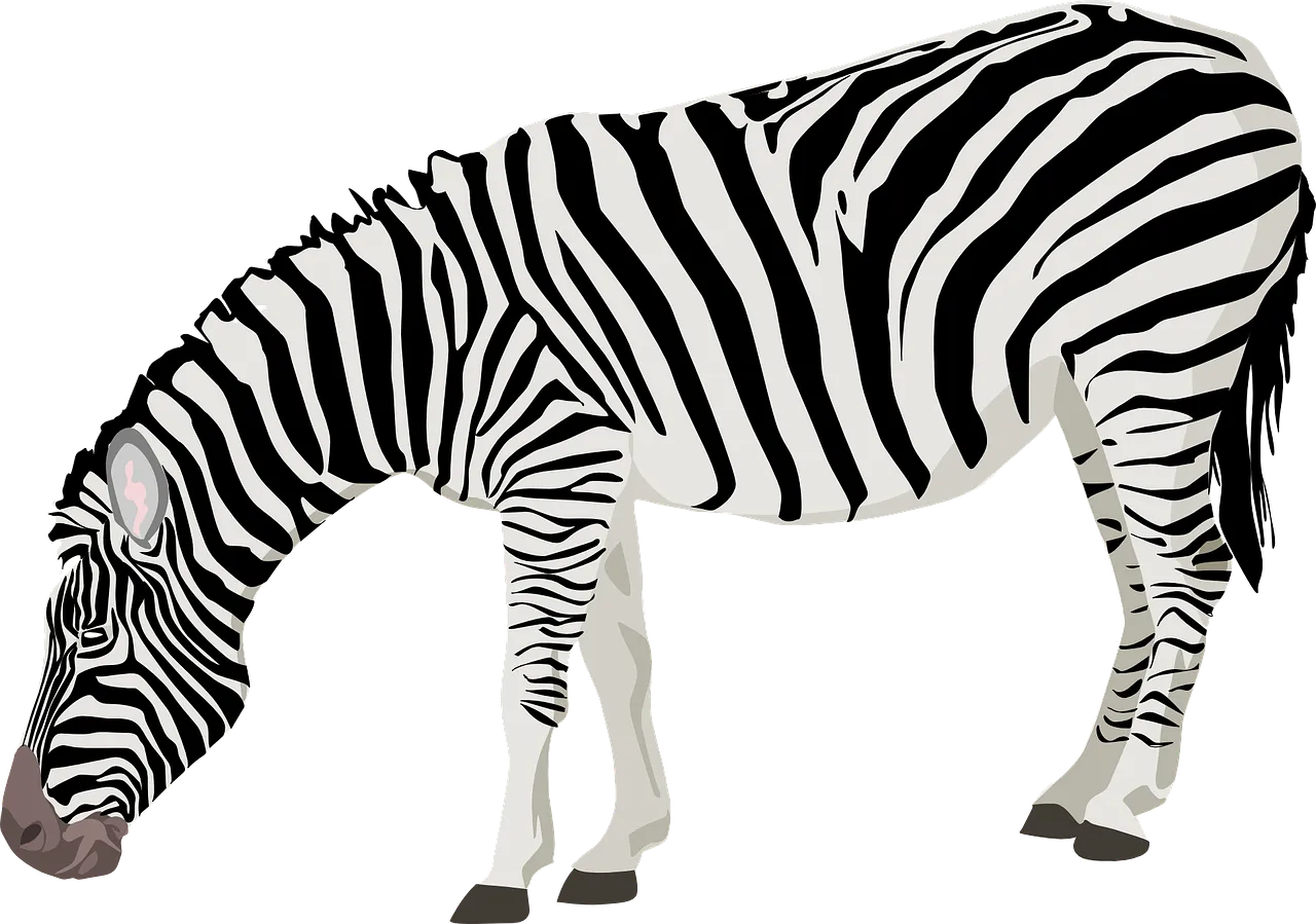 zebra-41054_1280.png