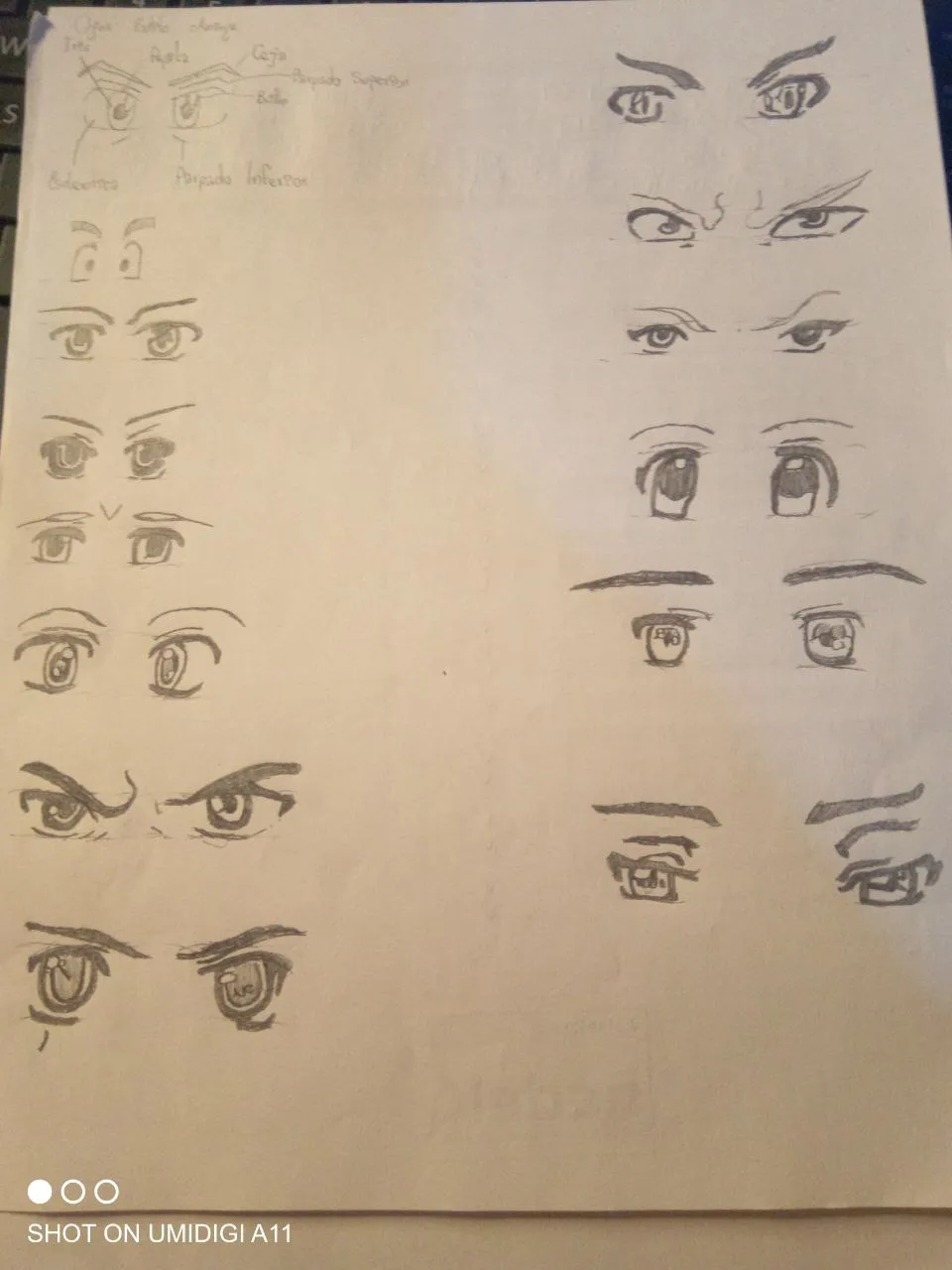 guia ojos.jpg