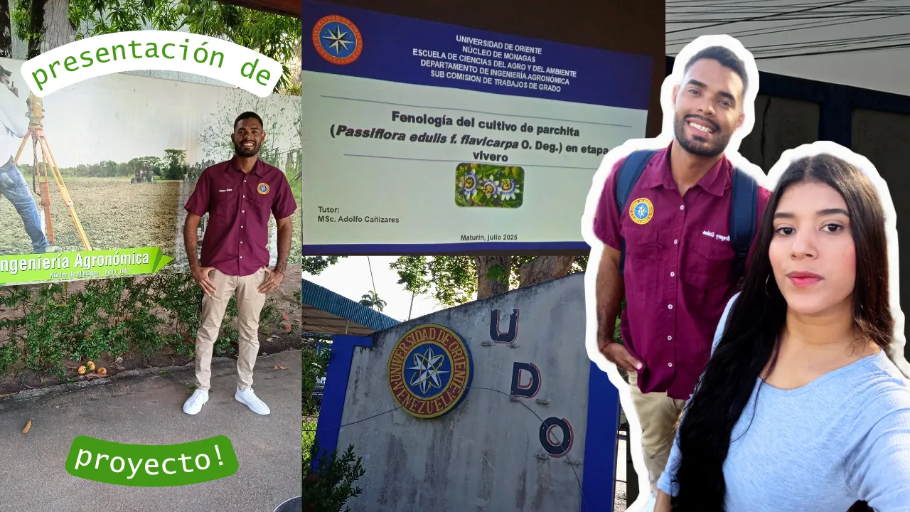 Proyecto_20250712_052815_0000.png