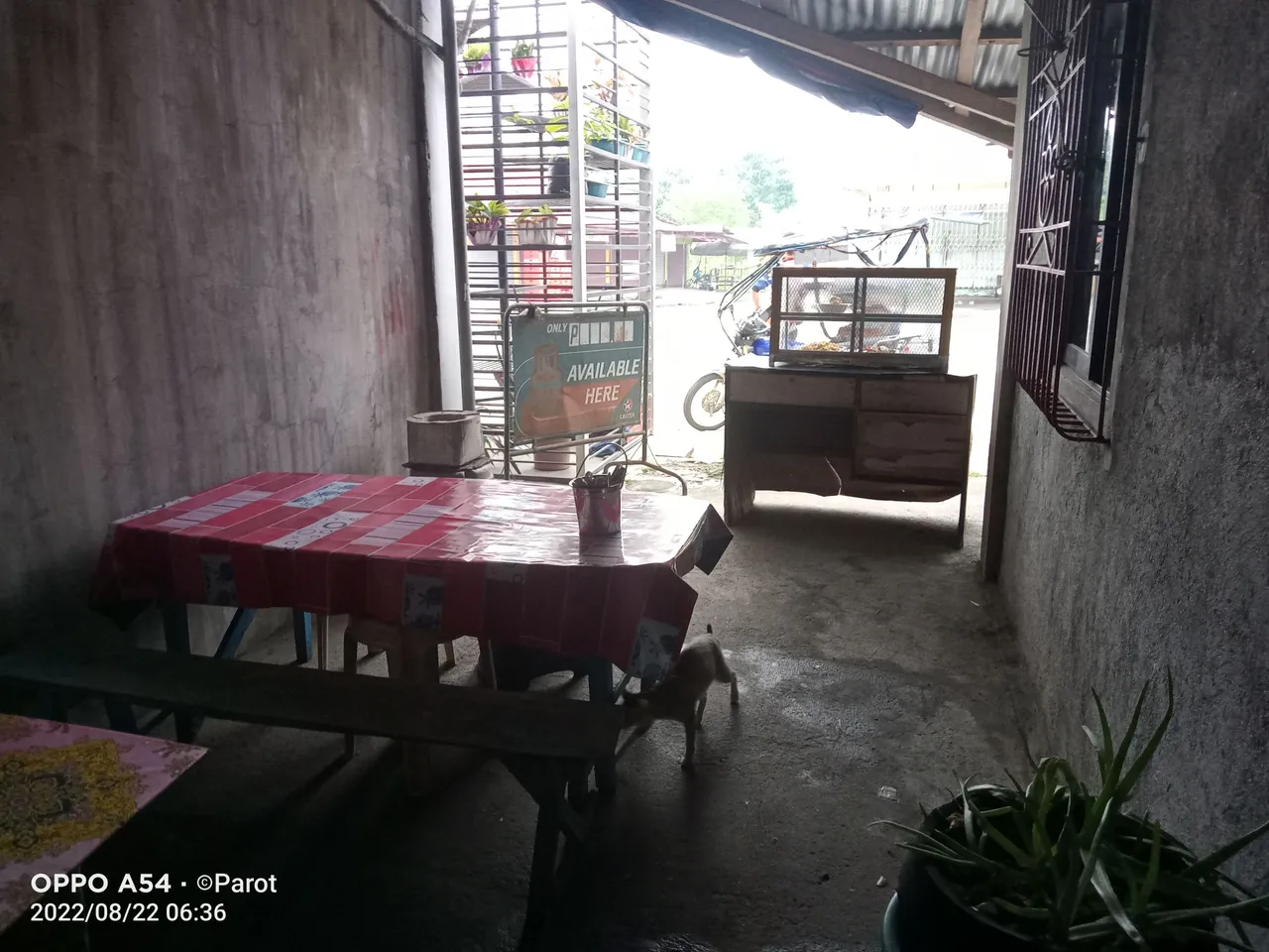 IMG20220822063631.jpg