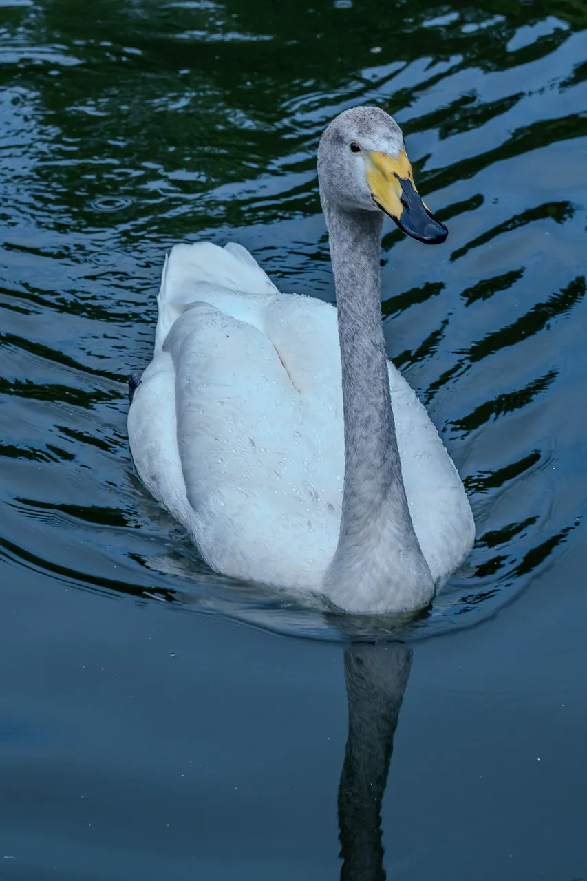 DSC05139.jpg