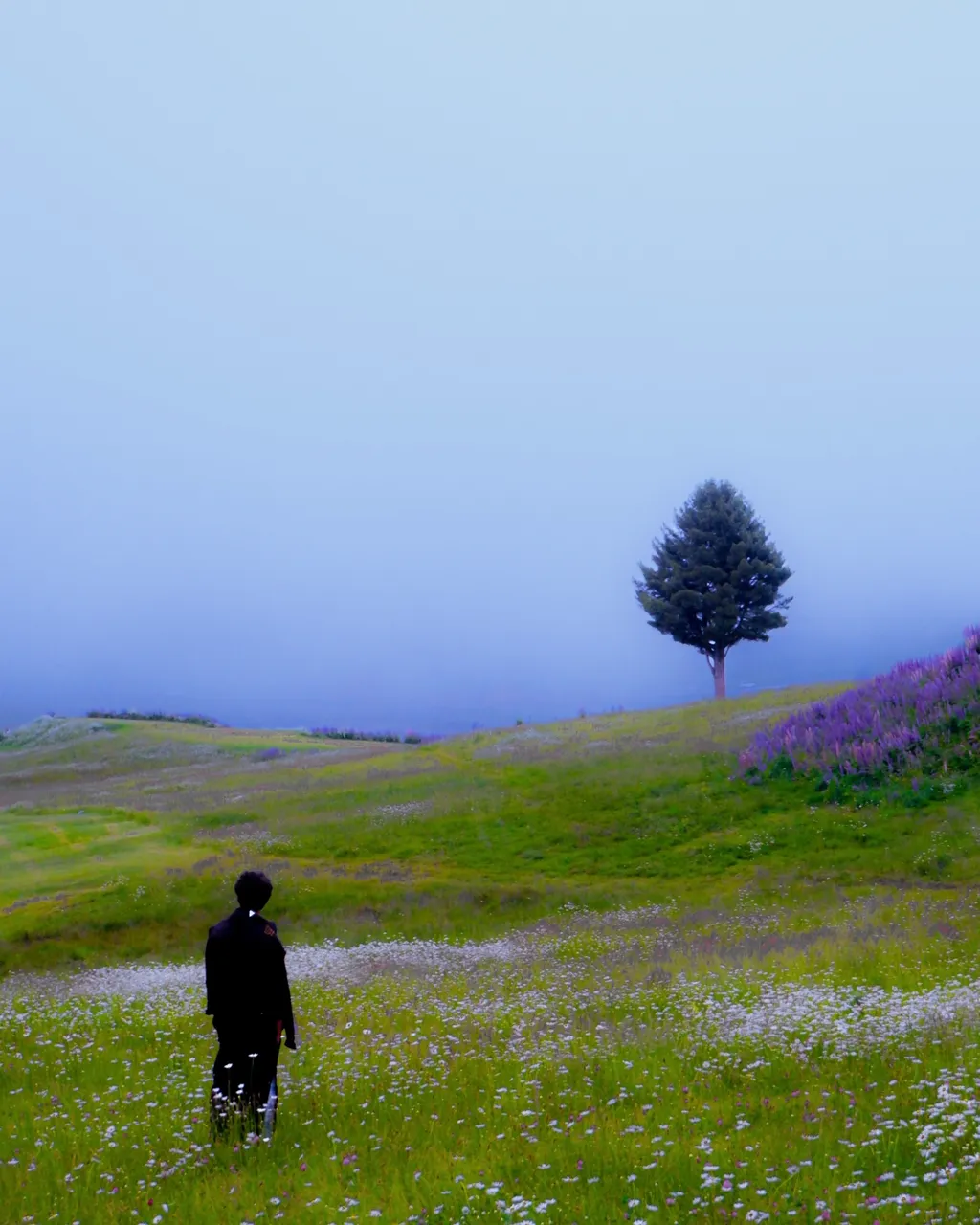 11-Ministry of Loneliness.jpg