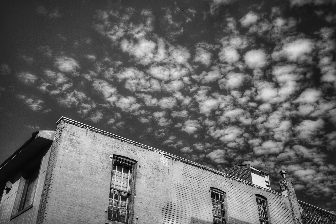 DSCF0454_edited.jpeg