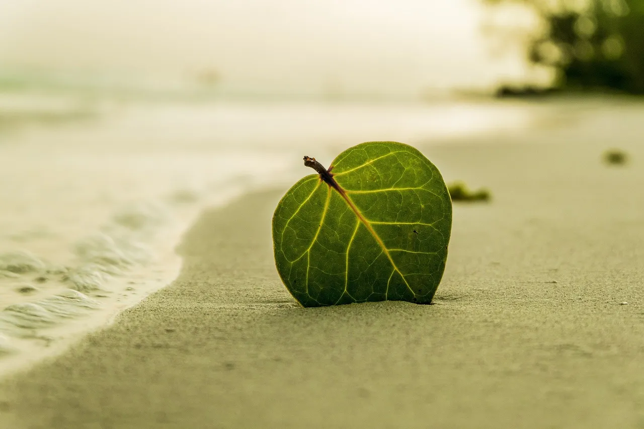 beach-geb74765c9_1920.jpg
