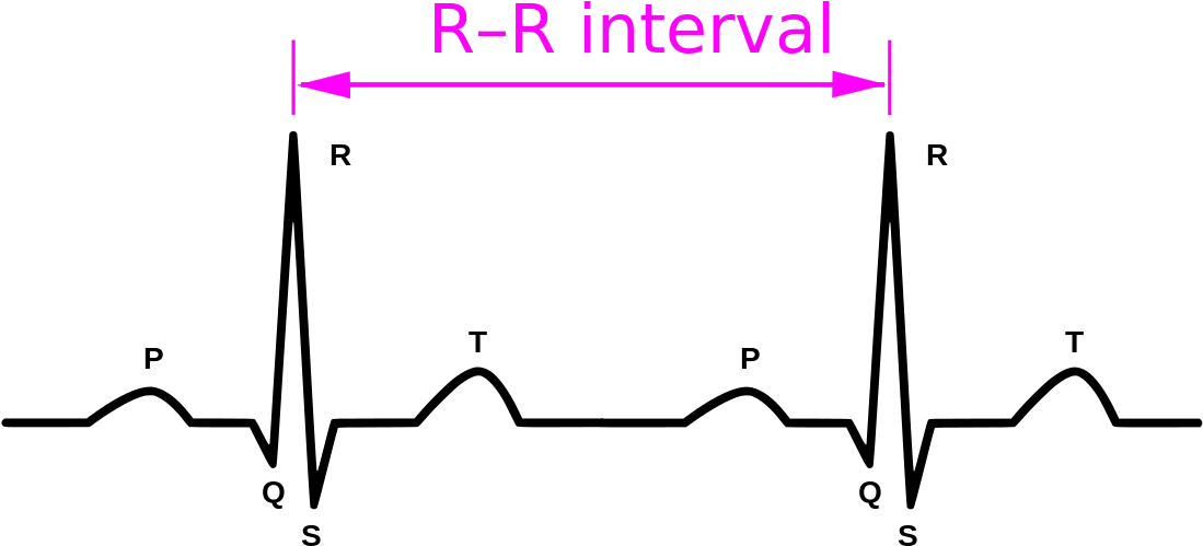 kindpng_1728415 (1).png