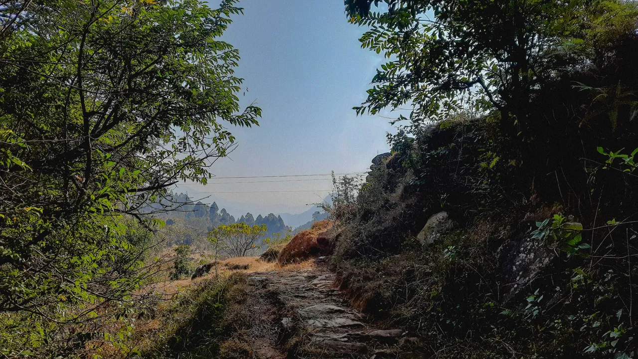20221219_112643.jpg