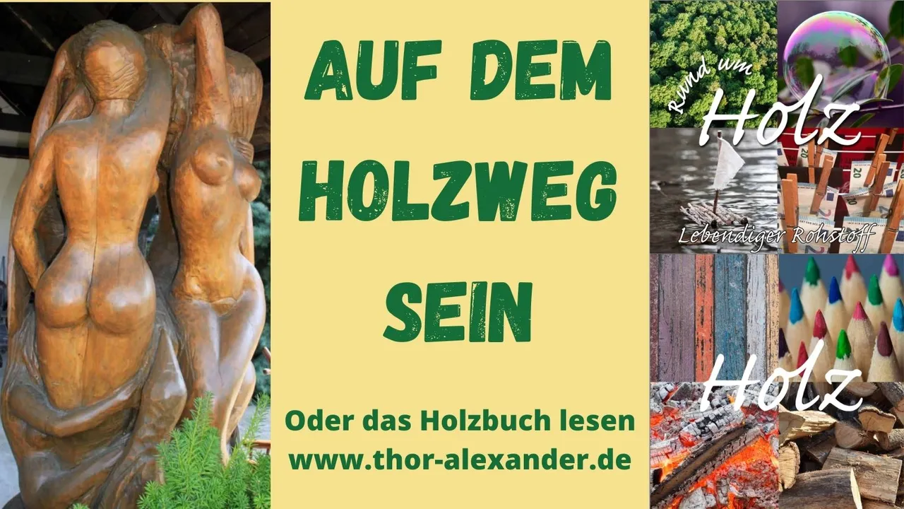 HZ Auf Holweg sein.jpg