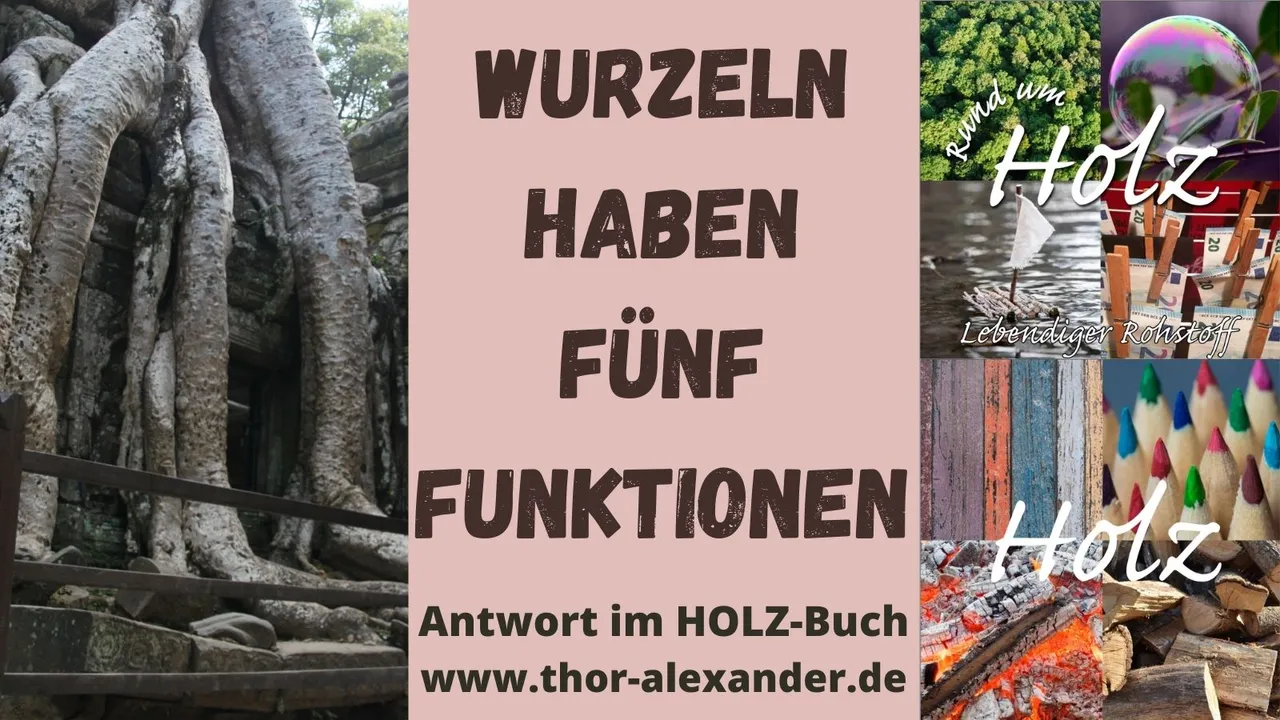 HZ Wurzelfunktion.jpg